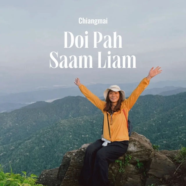 ดอยผาสามเหลี่ยม - เชียงใหม่ 
