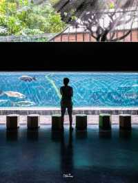 พาไปชมโลกใต้ท้องทะเลที่ Aquaria Phuket 🐧🐠