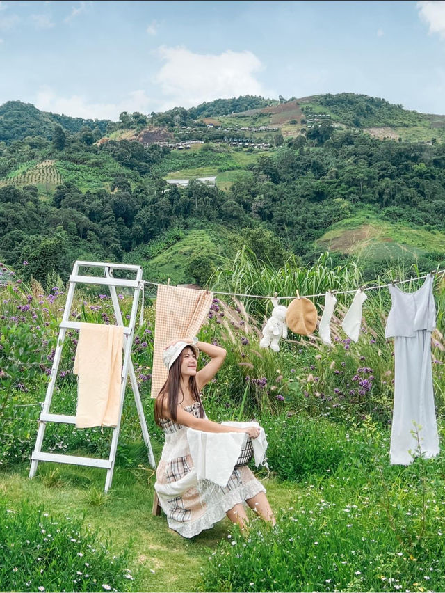 JINJU the orange farm สวนส้มเชียงใหม่ฟีลเกาหลี
