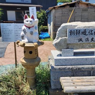 Fukuoka Cat Island: A Dreamy Paradise with 200 Stray Cats, A Healing Destination Awaits You!