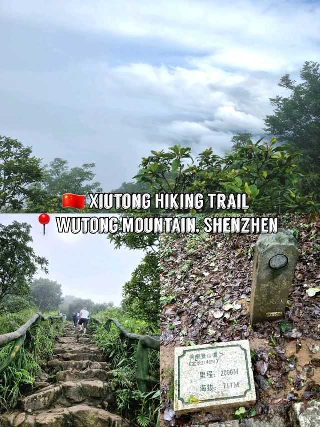 🇨🇳 Xiutong Hiking Trail 📍 Wutong Mountain, Shenzhen 