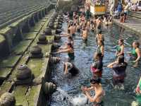 【ウブド】水の寺院！ティルタ ウンプル寺院で沐浴に挑戦！！