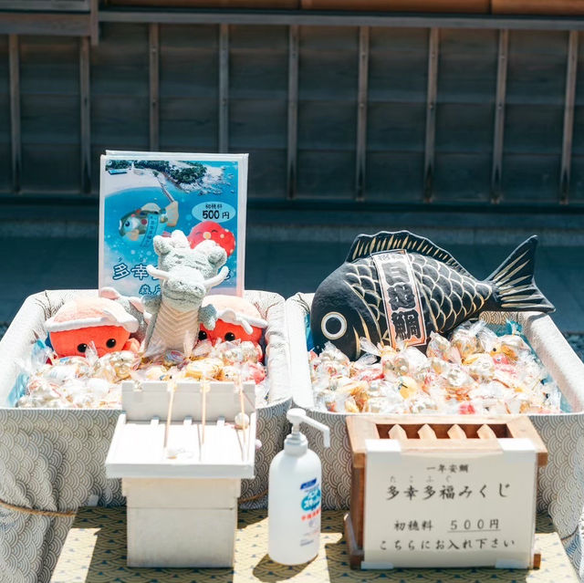 【裏手には海!?】美しすぎる森戸神社✨