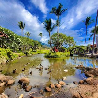 Maui, Hawaii: Paradise in the Pacific