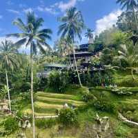 A paradise rice terrace in Bali, Indonesia 
