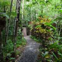 บ้านในหมง treehouse 