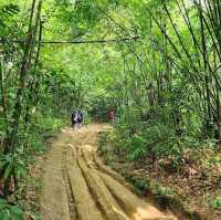 🇲🇾 Lepoh Waterfall: Your Next Forest Adventure!" 