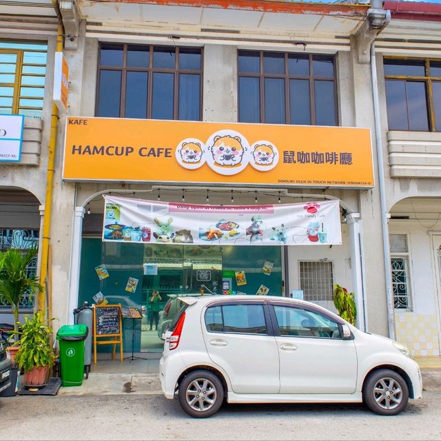 A Hamster Haven, Penang:  A Furry Adventure: Hamcup Cafe