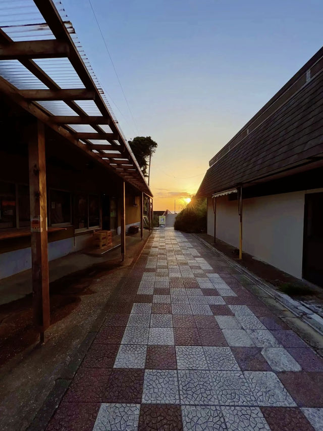 【神奈川】ねこ島🐈絶景夕陽スポットでお散歩