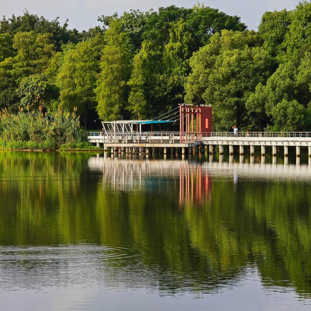 二井灣濕地公園：城市氧吧🌿🌊✨