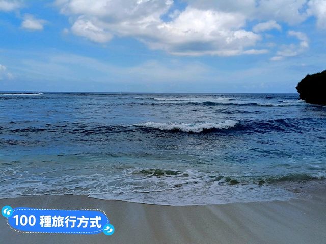 藍夢島夢幻海灘🏖️Dream Beach:鞦韆 果凍海 熱帶魚🐠 夢幻美景
