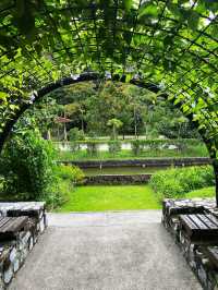 Enjoy the hot weather in the KL garden 🏡🏡
