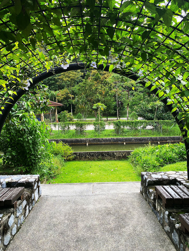 Enjoy the hot weather in the KL garden 🏡🏡