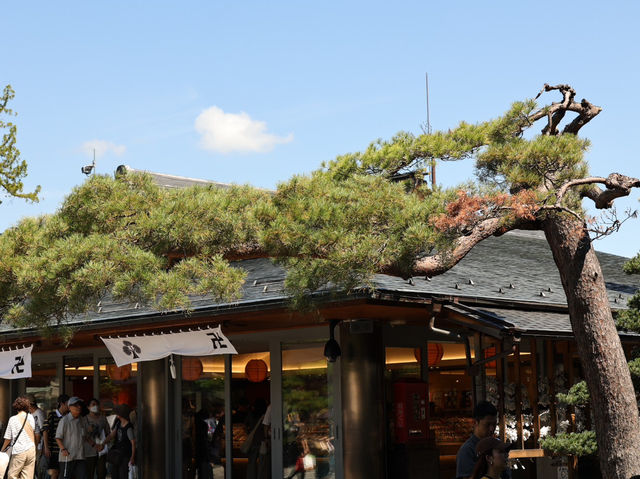 長野過千年歷史的佛教寺廟