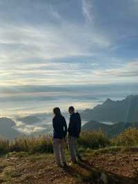 ชมทะเลหมอกที่ภูชี้ฟ้า จ.เชียงราย ⛰️⛅️🌳🌼