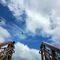 烈日當空看什麼飛機啦 | 瀨長島觀景台