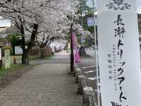 長瀞　宝登山神社