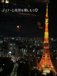 〜東京都〜MAP付！カップルで東京クリスマス旅行攻略！✨