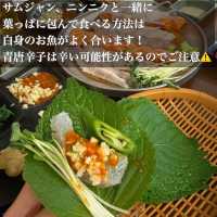 韓国/ソウル【江南】お刺身