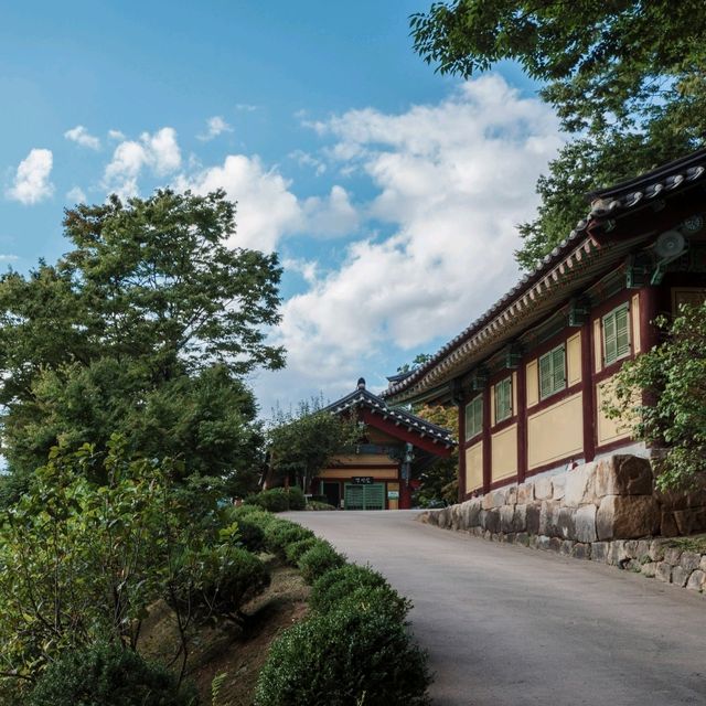 고요하고 시원한 산책길