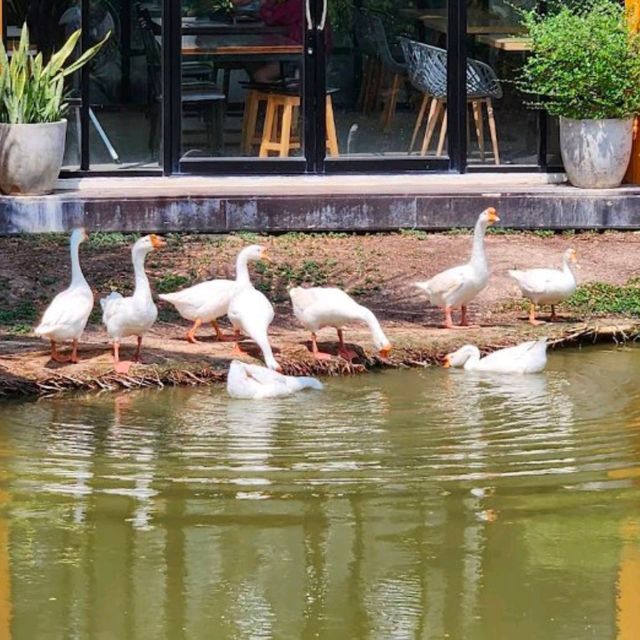 บ้านถั่วเย็น ไลฟ์สเปซ | BaanTuaYen HUA HIN