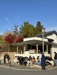 จิบกาแฟพร้อมชมใบไม้เปลี่ยนสีที่ Arabica Arashiyama