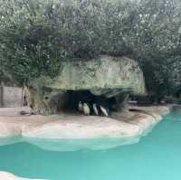 柏斯動物園 地點方便 又可以見到差唔多所有澳洲動物