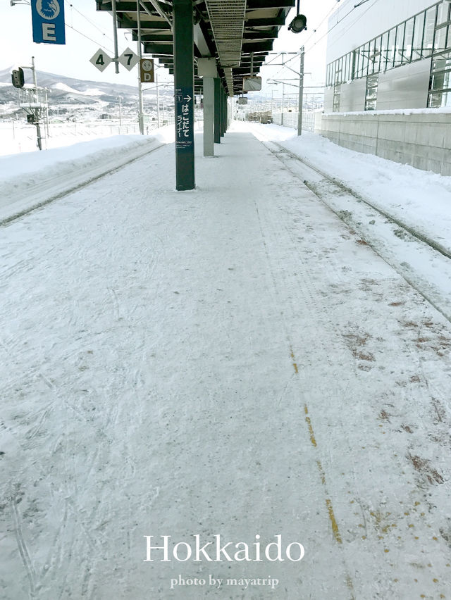 東京から新函館北斗まで新幹線の旅【北海道 / 新函館北斗】