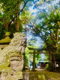 必見のパワースポット✨辰年🐉はここ行って！圧巻の彫刻群が魅せる穴場すぎる神社🥹特典🅿️マップ付き❗️