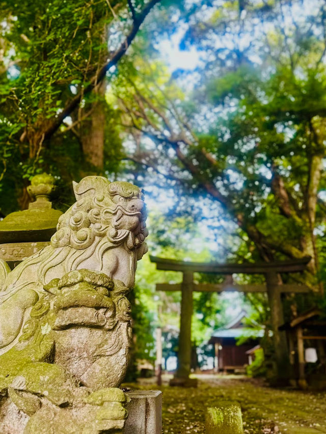 必見のパワースポット✨辰年🐉はここ行って！圧巻の彫刻群が魅せる穴場すぎる神社🥹特典🅿️マップ付き❗️