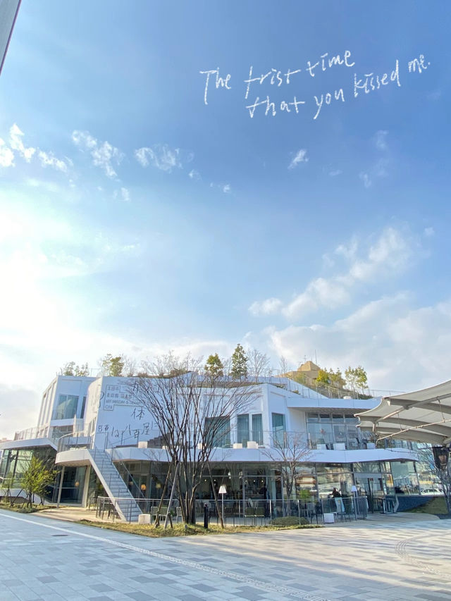 【美術館と図書館がひとつになった公共建築】GWはゆっくり本を読んだり美術館賞はいかが？