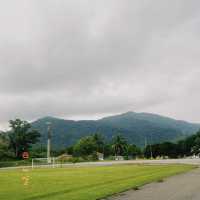 Nice view while jogging