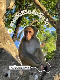 วัดหลินอึ๋ง ดานัง
