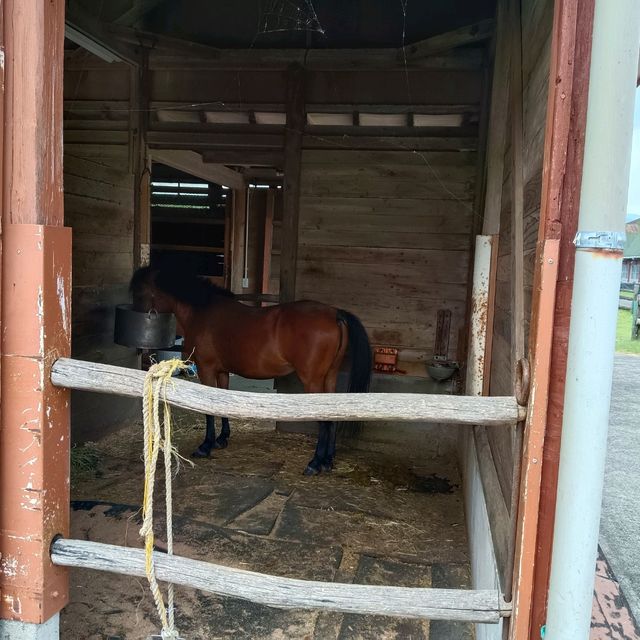 高千穗牧場游記