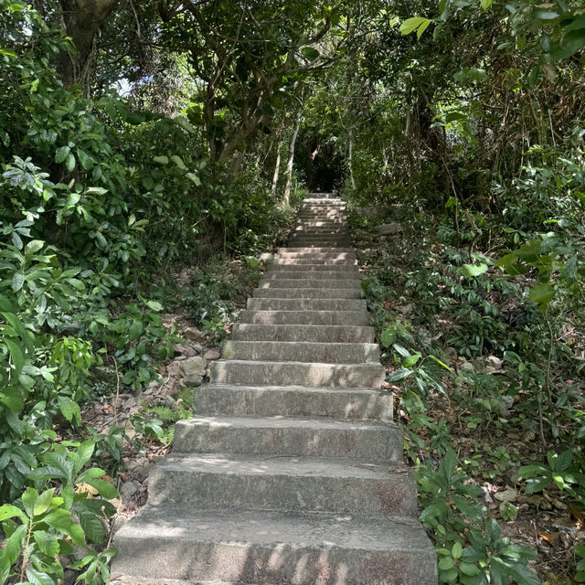 香港🇭🇰龍脊徒步·老少咸宜