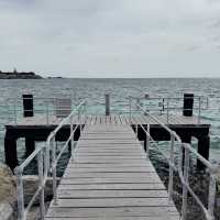 Hillarys Ferry Dock：前往羅特尼斯島的起點 🛳️🐳