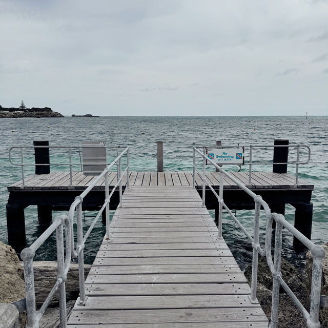 Hillarys Ferry Dock：前往羅特尼斯島的起點 🛳️🐳