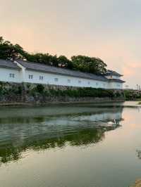 【滋賀】お城巡り
