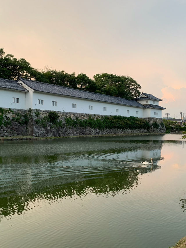 【滋賀】お城巡り