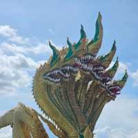 เที่ยวหนองคาย ชมบั้งไฟพญานาคหนึ่งเดียวในโลก