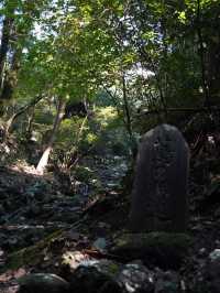 【静岡🇯🇵】歴史ある古道ハイキング