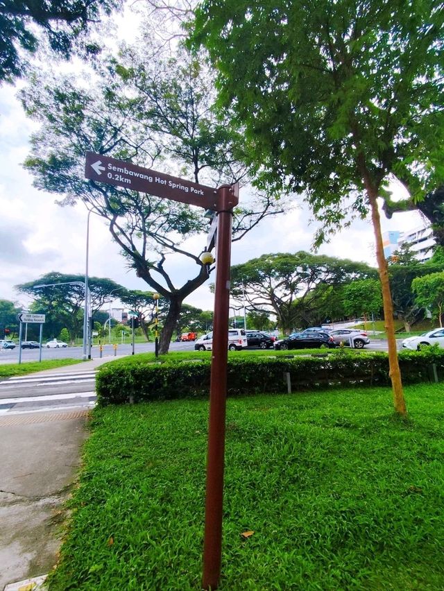 Hidden Gem Sembawang Hot Spring Park