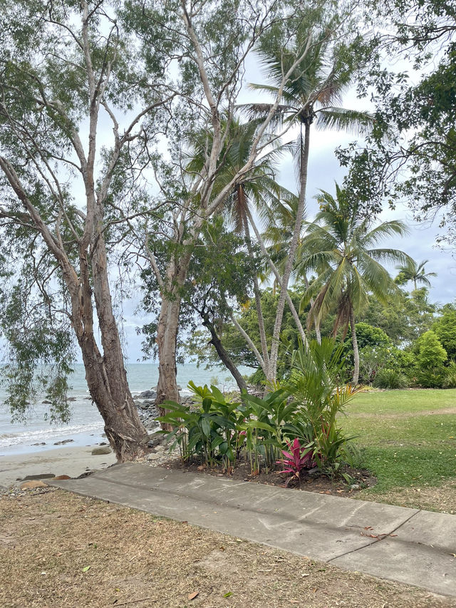🇦🇺｜ローカルの魅力満載！Port Douglasで過ごす充実の日曜日
