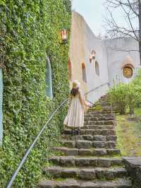 【ジブリ】ジブリ好き必見💡世界観にどっぷり浸る美術館🌳 