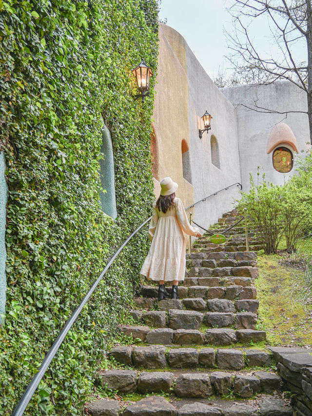【ジブリ】ジブリ好き必見💡世界観にどっぷり浸る美術館🌳 