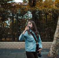 Shanghai Citywalk but in Autumn
