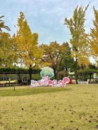 가을을 느끼기 좋은 야외 도서관 데이트🍂📚