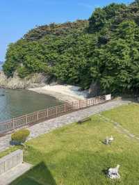 제주도 아니고 대부도💚 해외바이브 풀빌라🏝️ 