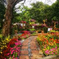 เทศกาลดอกไม้สวนหลวง ร.9