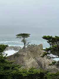 One of the most scenic drives in California 